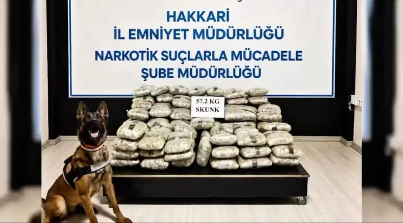 İçişleri Bakanlığı: İki haftada bine yakın kişi tutuklandı - Resim : 1