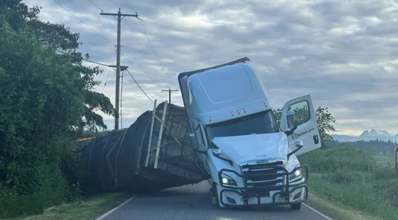 Tır devrildi, 250 milyon arı serbest kaldı - Resim : 1