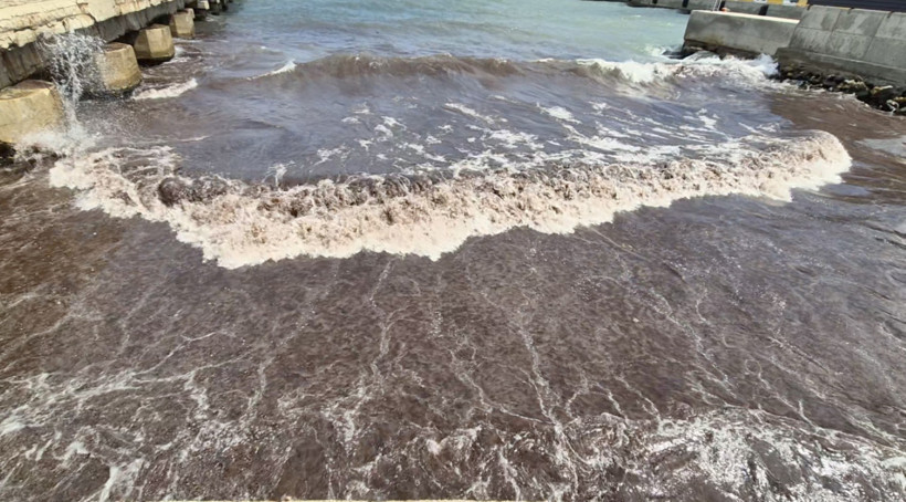 Tekirdağ'da korkutan görüntü: Denizin rengi kırmızıya döndü - Resim : 2