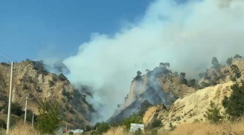 Aydın'da orman yangını - Resim : 1