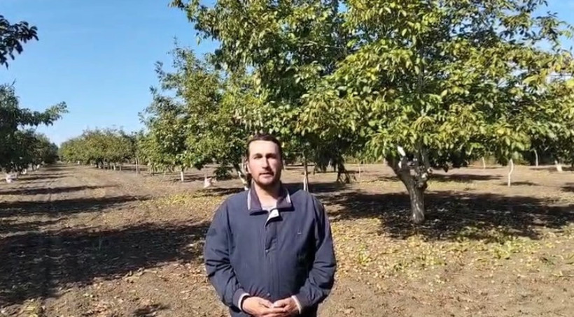 Geçen yıl ağlayan çiftçiler bu yıl paraya para demiyor! Tarladan tam 400 ton çıktı - Resim : 3