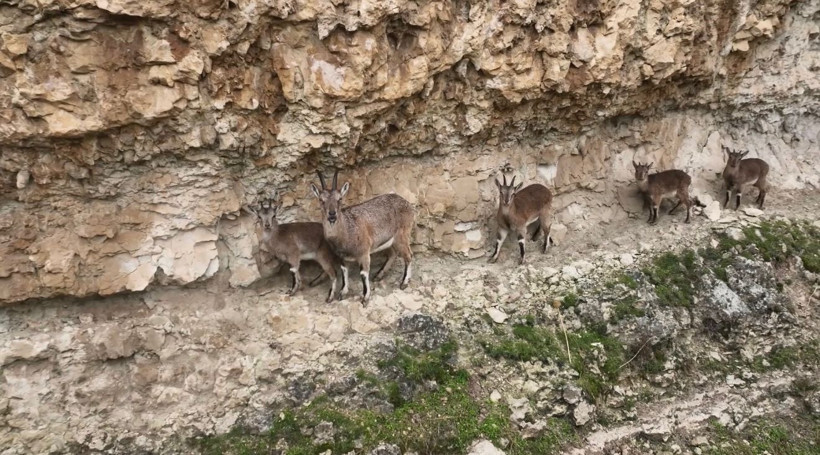 'Pardon' hikayesi: Mahkeme proje tamamlandıktan sonra iptal etti - Resim : 1