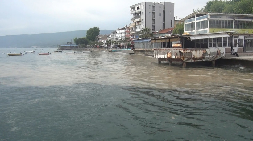 Gemlik Körfezi müsilajla kaplandı - Resim : 1