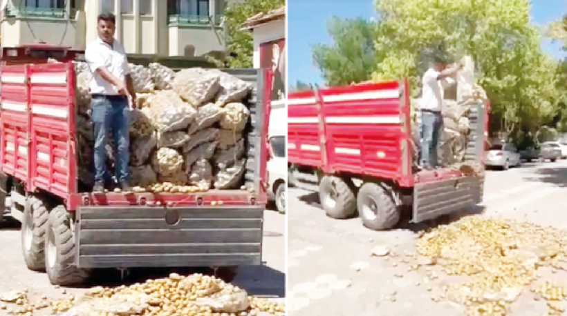 Patates demokrasisi! - Resim : 1