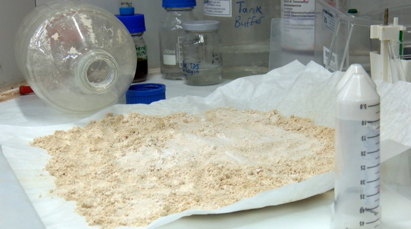 Hayvan yeminden protein tozu yapacaklar - Resim : 5