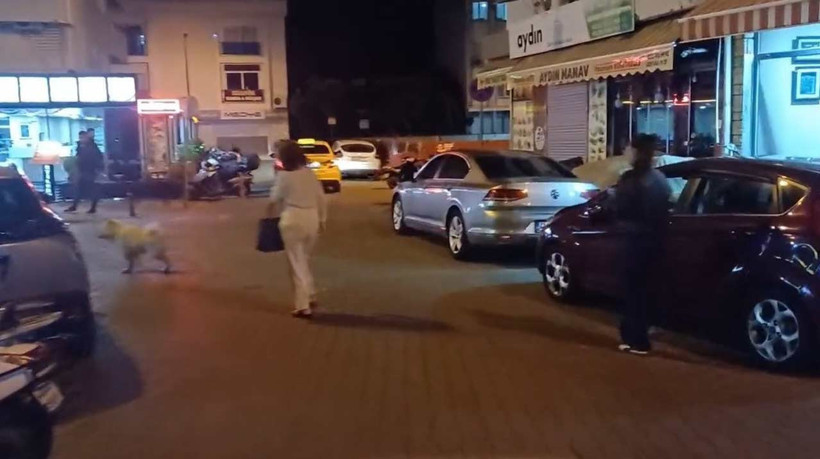 Marmaris açıklarında deprem - Resim : 4