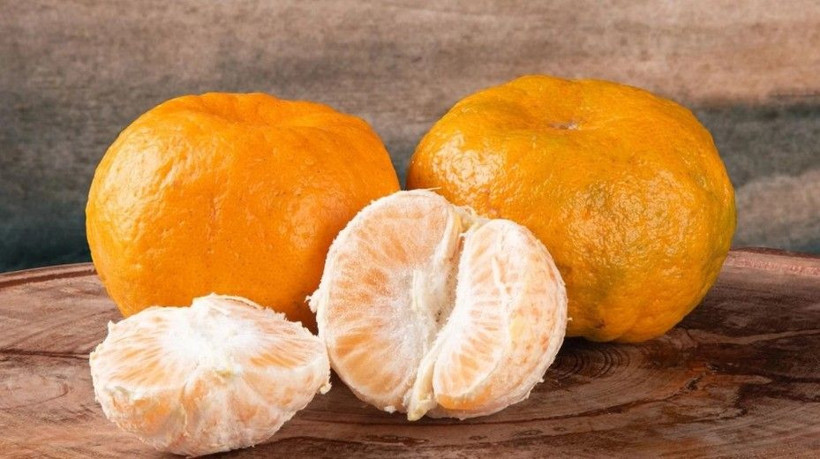 Mandalina alırken bunu yapın! Ekşi çıkmasını önlemenin pratik yolu - Resim: 17