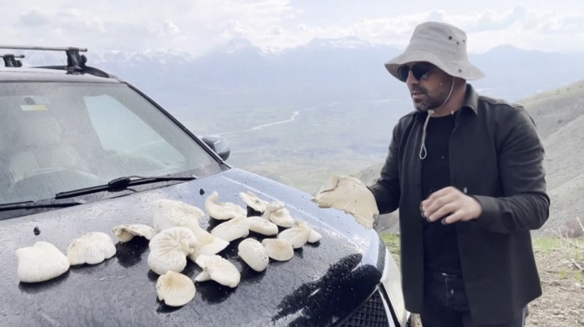 2 bin rakımın üzerinde yetişiyor: Toplamak için 7 saat yürüdüler - Resim : 1