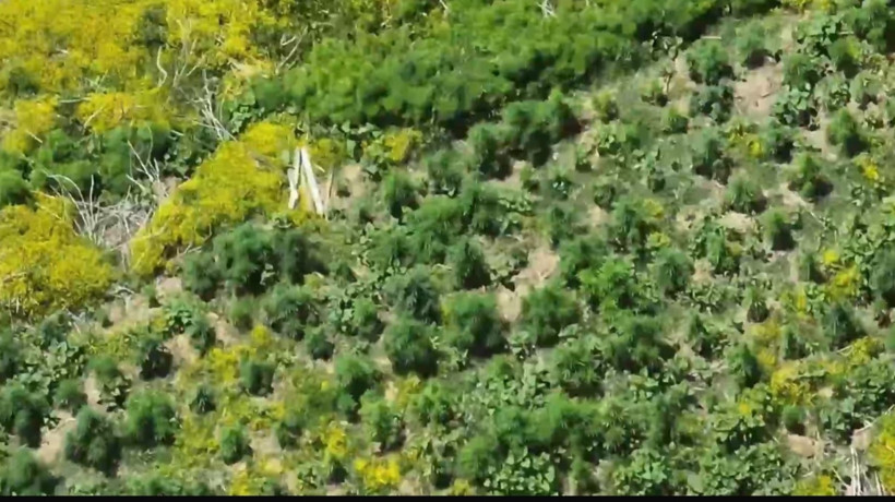 Diyarbakır'da uyuşturucu adacıkları - Resim : 2