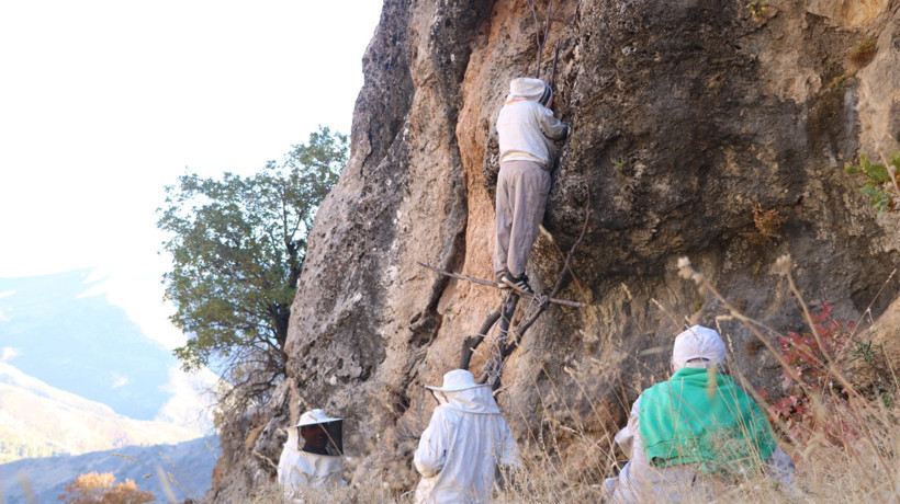 Hasadı için kilometrelerce yürüyorlar! Şifa niyetine toplanan kaya balı 7 bin TL’den satılıyor - Resim : 3