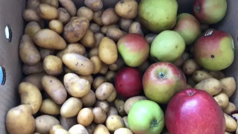 Patates saklamanın püf noktası ortaya çıktı: Yanına bir tane eklemek yetiyor - Resim : 7