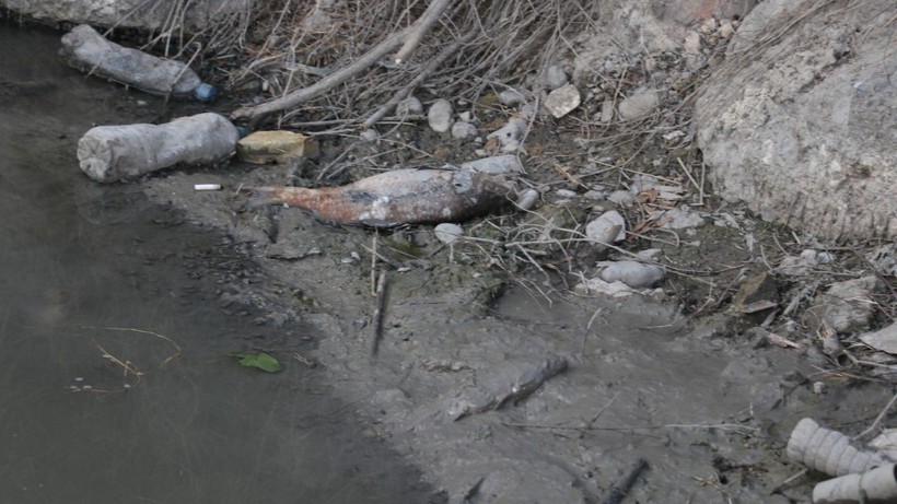 Ceyhan Nehri'nde korkutan görüntüler - Resim: 3