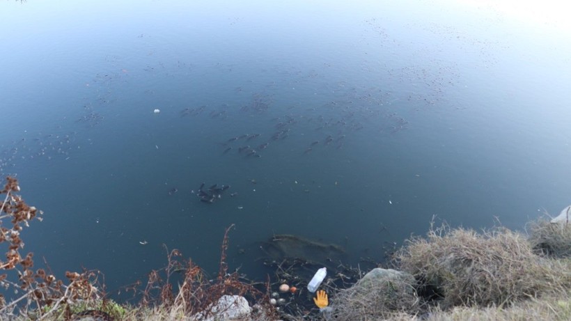 Ceyhan Nehri'nde korkutan görüntüler - Resim: 8