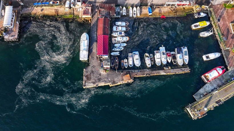 İstanbul'da müsilaj kabusu yeniden başladı - Resim: 4