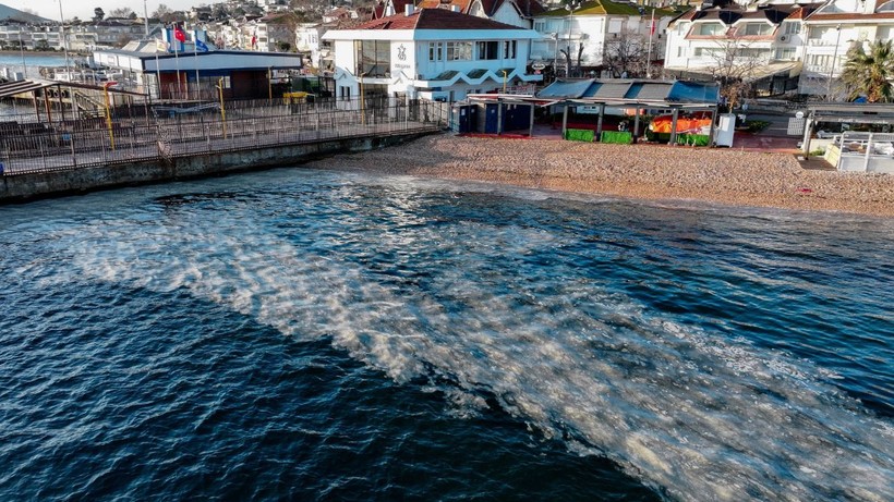 İstanbul'da müsilaj kabusu yeniden başladı - Resim: 6