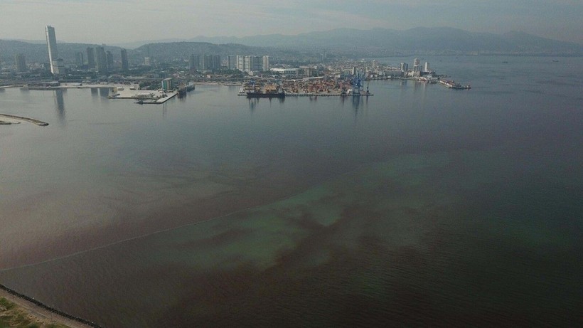 İzmir Körfezi'ndeki kirlilik ve balık ölümlerine soruşturma - Resim: 6