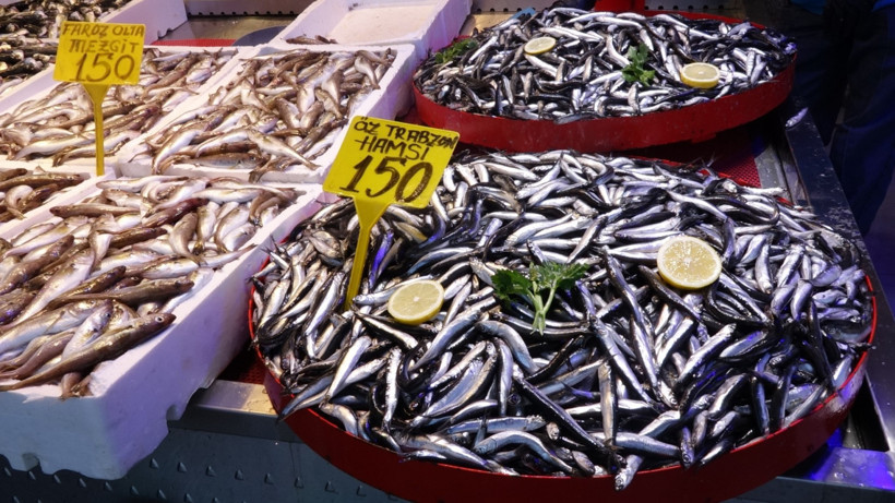 Palamut sezonu bitti! İşte tezgahları dolduran yeni balıklar - Resim : 2