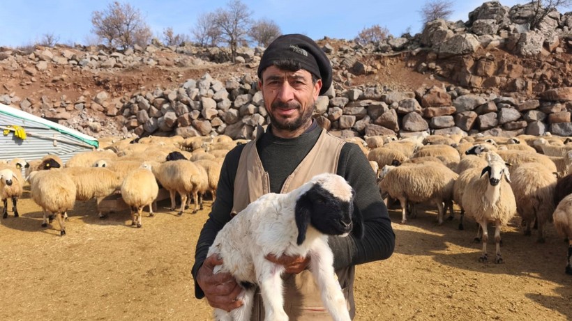 Doğum dönemi şap tehlikesine denk geldi: Besiciler nöbette - Resim : 4