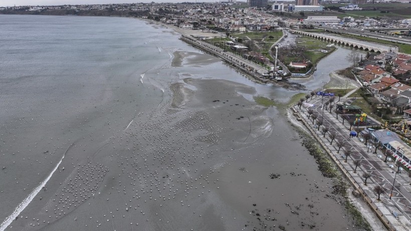 İzmir'in ardından İstanbul’da da deniz çekildi - Resim: 4