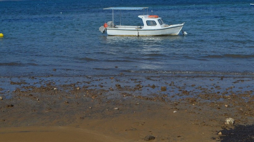 Balıkesir’de deniz çekildi - Resim: 10