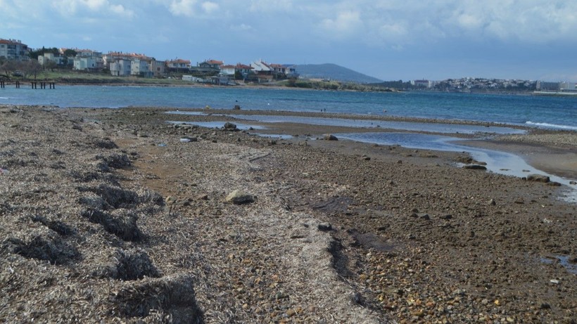 Balıkesir’de deniz çekildi - Resim: 14