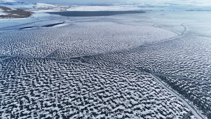 Ahlat’ta kutupları aratmayan görüntüler - Resim: 7