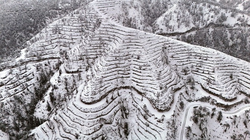 Karadeniz beyaz örtüyle kaplandı - Resim: 7