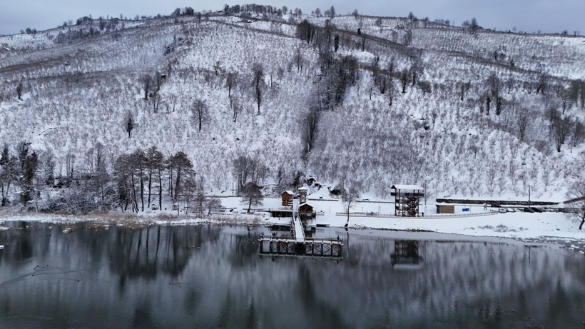 Kuş cenneti Efteni Gölü'nde kış manzaraları oluştu - Resim: 9