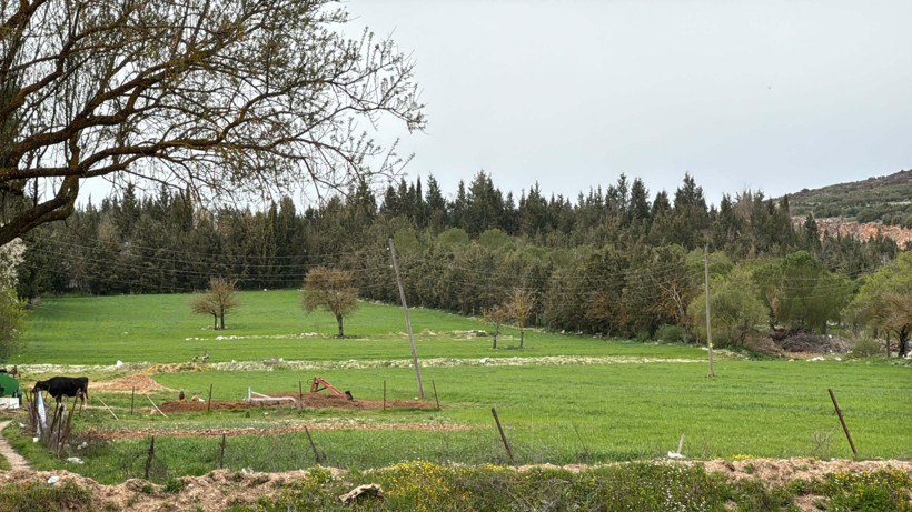 Diğer yaylalara benzemiyor: Bu yaylaya çıkılmıyor; iniliyor - Resim : 1