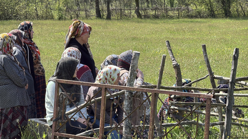 Ağaç budarken çıktığı dalda öldü - Resim : 1