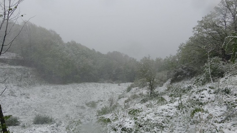 Kocaeli'de bahar ve kış bir arada - Resim: 9
