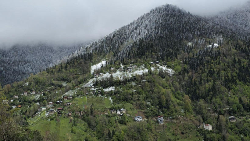 Rize'de kart postallık manzaralar - Resim: 3