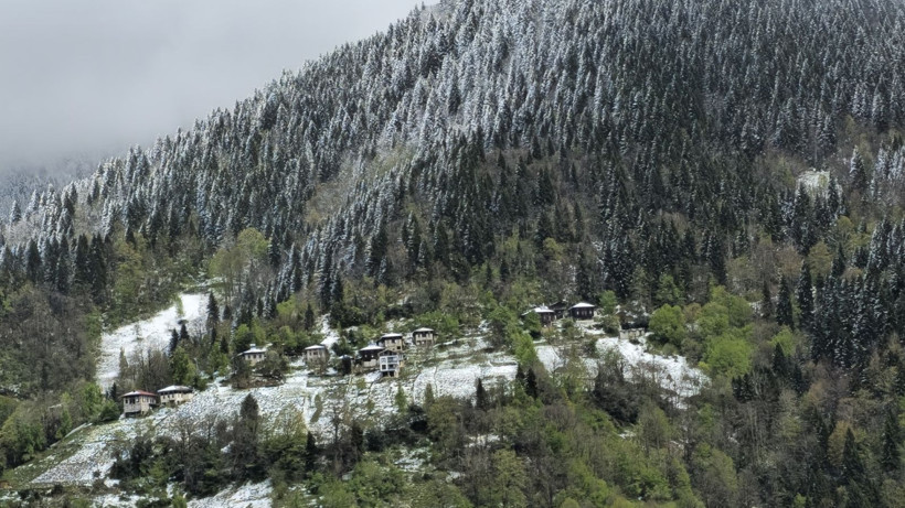 Rize'de kart postallık manzaralar - Resim: 5