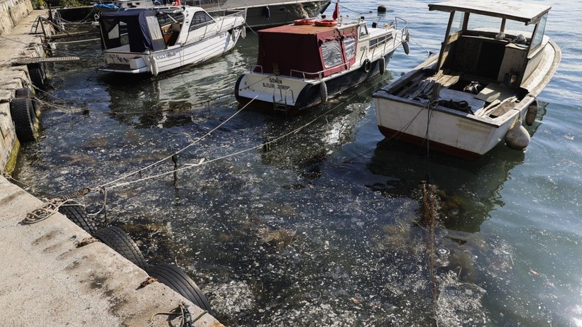 İstanbul’da müsilaj yüzeye çıktı - Resim: 1