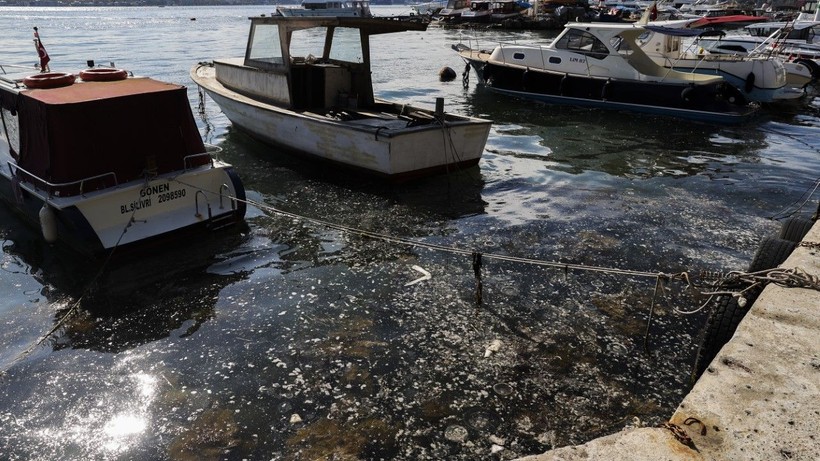 İstanbul’da müsilaj yüzeye çıktı - Resim: 4