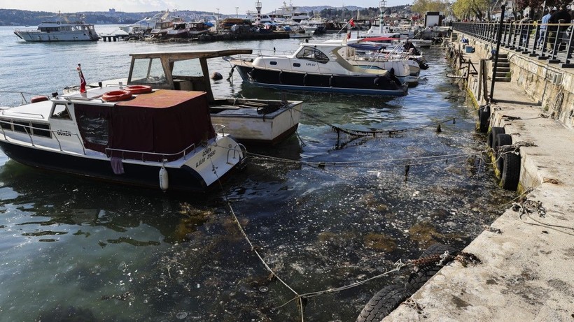 İstanbul’da müsilaj yüzeye çıktı - Resim: 7