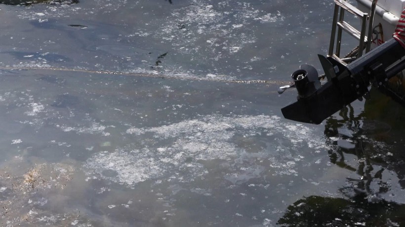 Marmara Denizi bağırıyor: Yılların kirliliği yine kıyıya vurdu - Resim : 3
