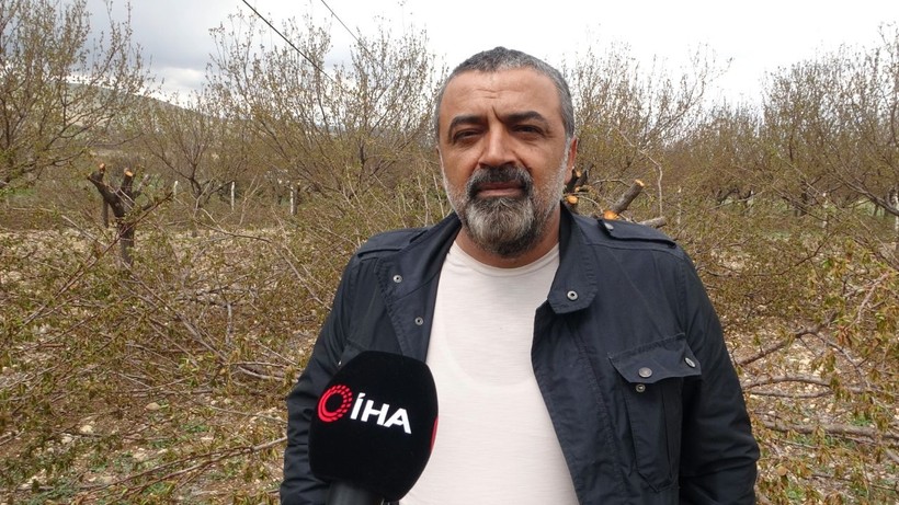 Meyveden umudu kesen çiftçi ağaçlarını kurtarmak için çabalıyor - Resim: 2