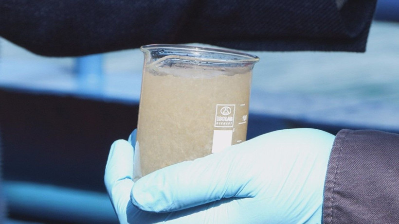 Müsilaj Bilim ve Teknik Kurulu, Marmara açıklarında incelemelerde bulundu - Resim: 1