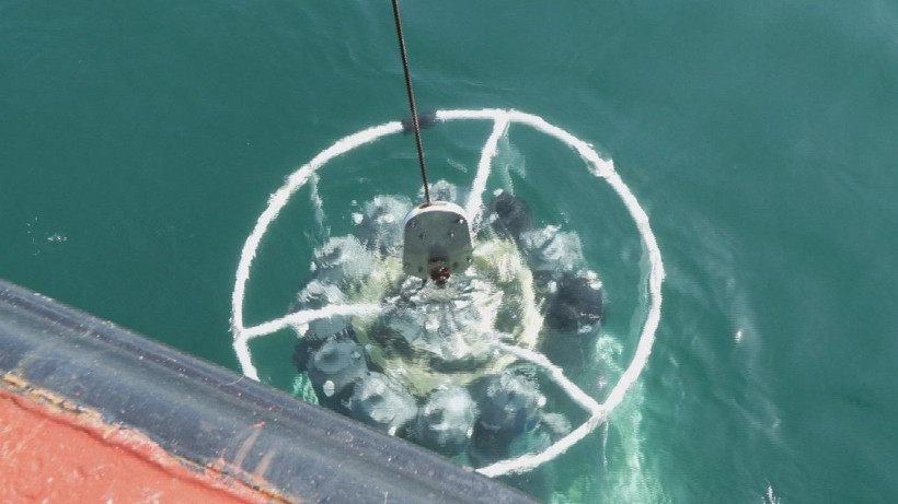 Müsilaj Bilim ve Teknik Kurulu, Marmara açıklarında incelemelerde bulundu - Resim: 3