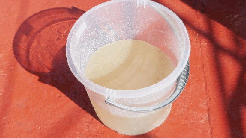 Müsilaj Bilim ve Teknik Kurulu, Marmara açıklarında incelemelerde bulundu - Resim: 6