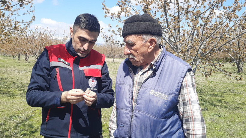 Birçok ülkeye ihraç ediliyor! Don vurdu: 'Bu sene kimse beklemesin' - Resim : 2