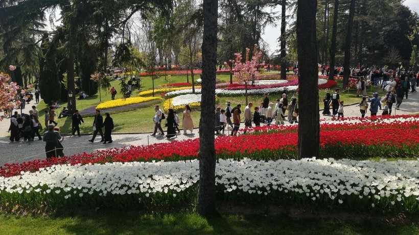 İstanbul’da lale zamanı - Resim: 1