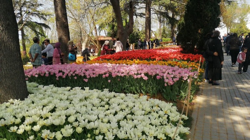 İstanbul’da lale zamanı - Resim: 4