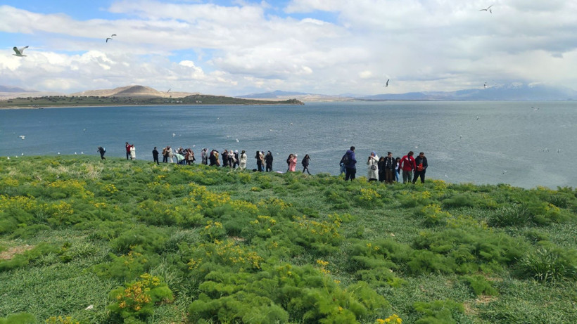 Bu adayı çok az kişi biliyor: İnsandan çok martı var - Resim: 8