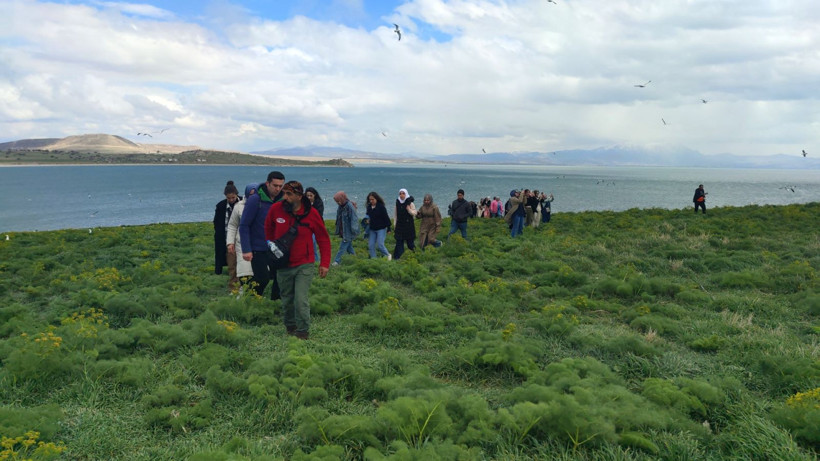 Bu adayı çok az kişi biliyor: İnsandan çok martı var - Resim: 9