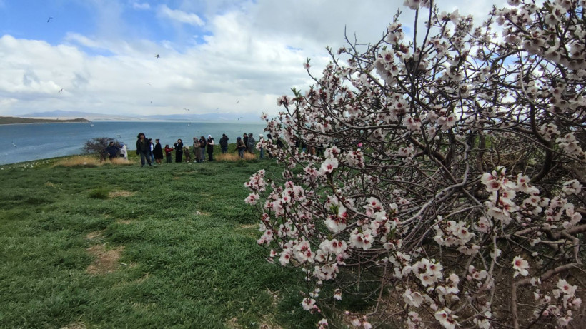 Bu adayı çok az kişi biliyor: İnsandan çok martı var - Resim: 10