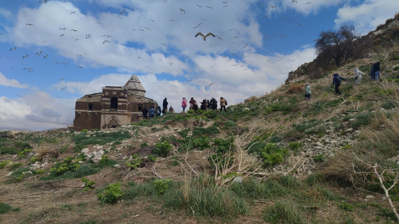 Bu adayı çok az kişi biliyor: İnsandan çok martı var - Resim: 12