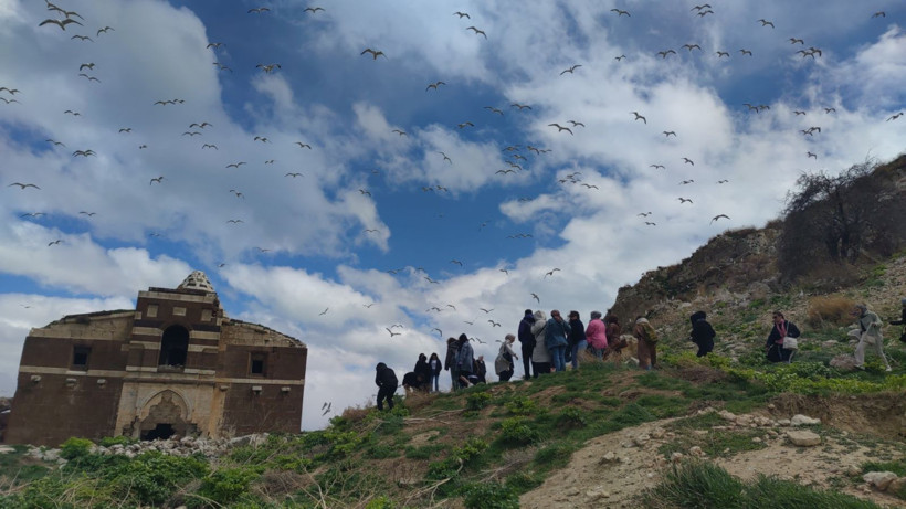 Bu adayı çok az kişi biliyor: İnsandan çok martı var - Resim: 13