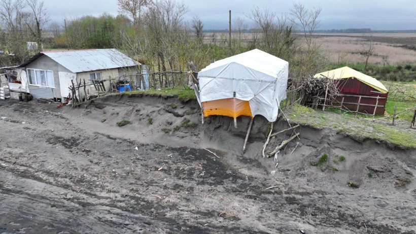 Kıyı erozyonu sahili vurdu: Ağaçlar sıra sıra devrildi - Resim: 4